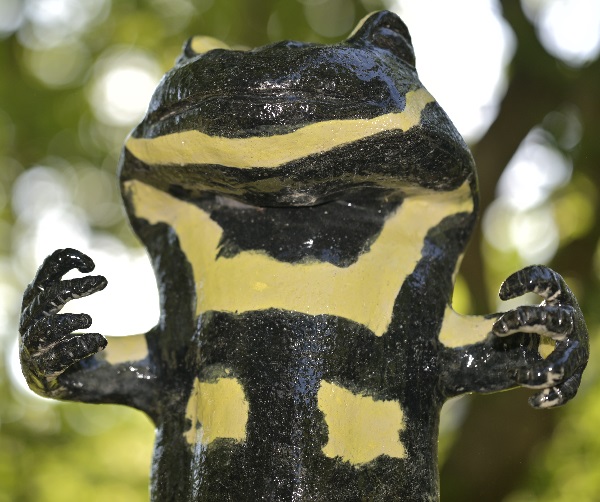 Feuersalamander Thumb